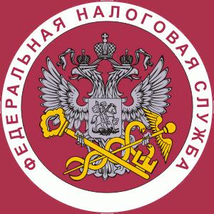 Налоговые инспекции, службы Васильево